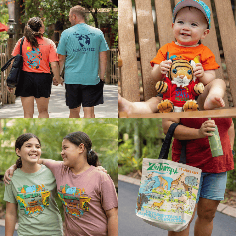 A collage of four images with different people of all ages wearing ZooTampa merchandise