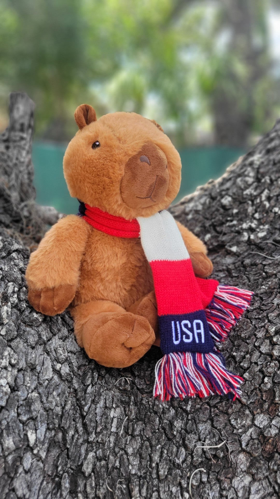 USA Soccer Team Plush