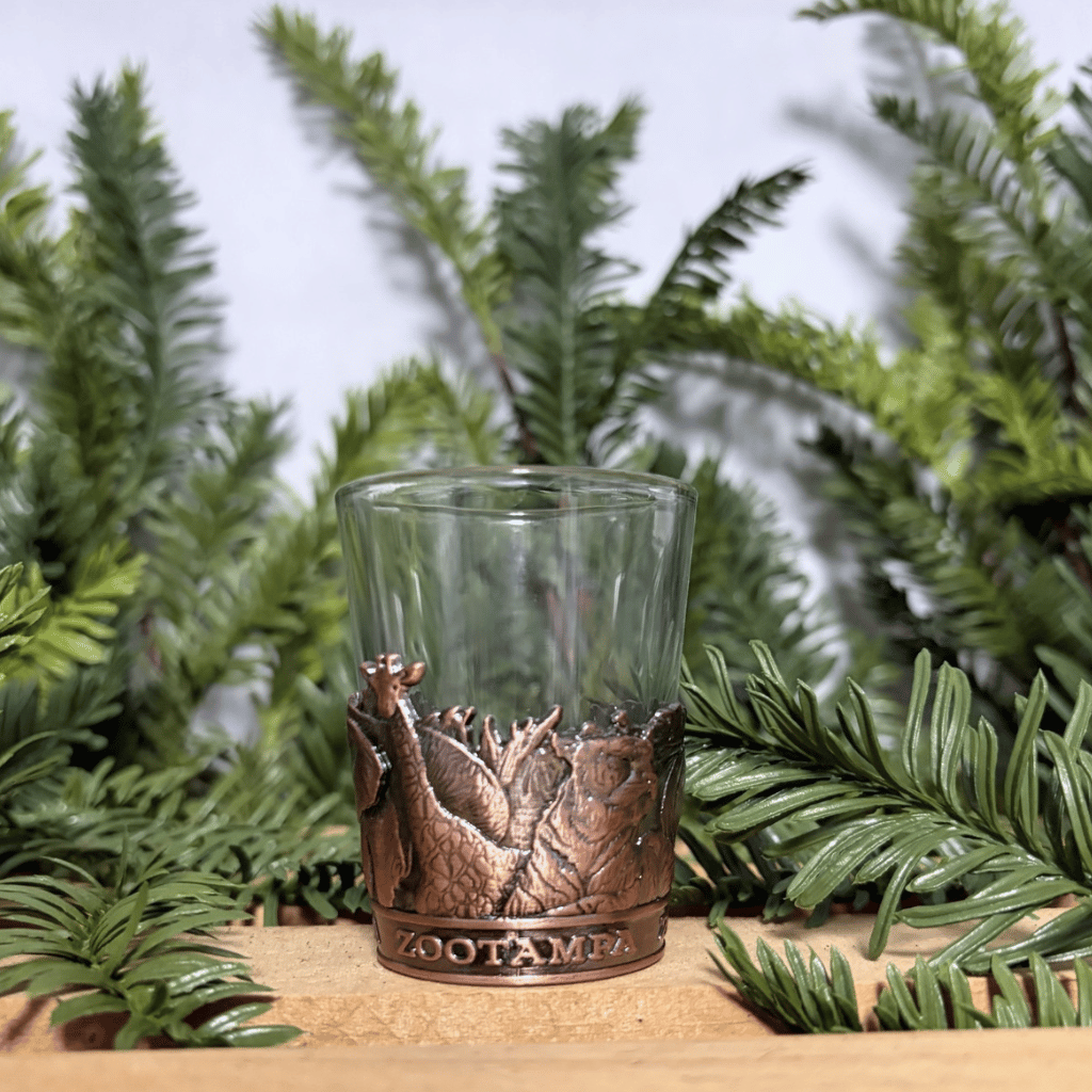 A clear glass tumbler with a bronze-colored embossed band featuring a dinosaur design and the word 'ZooTampa' at the bottom, styled on a wooden surface with green pine branches in the background.