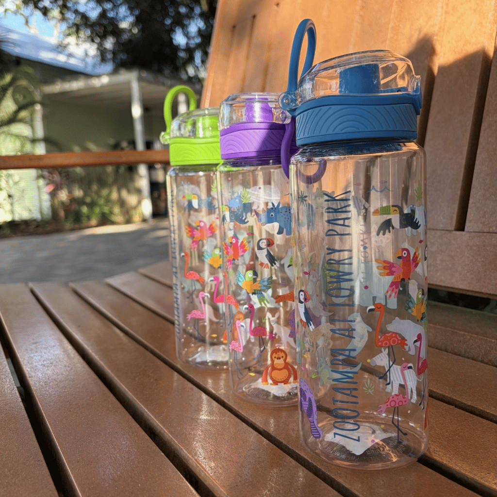 Three clear plastic water bottles with colorful animal illustrations and flip-top lids are lined up on a wooden outdoor bench. The bottles have green, purple, and blue lids, and the front bottle features the text 'ZOOTAMPA AT LOWRY PARK'.