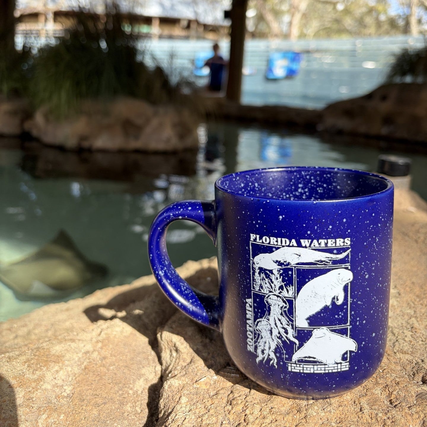 A blue speckled enamel mug with a white Florida Waters Manatee Conservation Park graphic, placed on a rock with a blurred outdoor pool and stingray enclosure in the background.