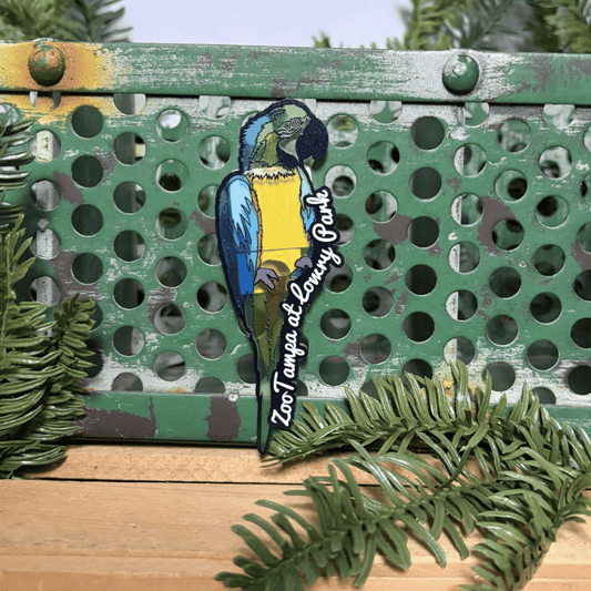 A colorful parrot-shaped magnet with the text 'Zoo Tampa at Lowry Park' is shown attached to a distressed green metal bench with pine branches in the foreground.