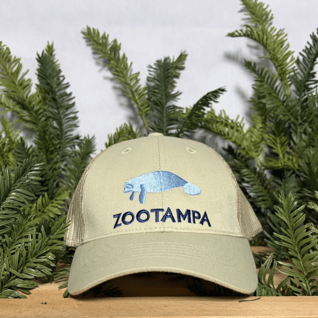 A beige trucker-style baseball cap with a blue embroidered manatee and the word 'ZOOTAMPA' on the front, displayed among green pine branches.