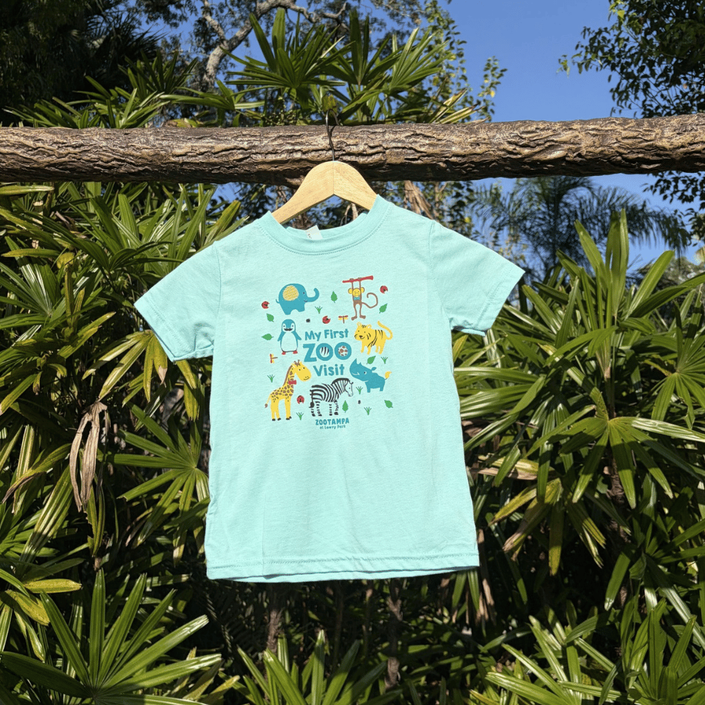 1st Visit Toddler T-Shirt Pink & Blue