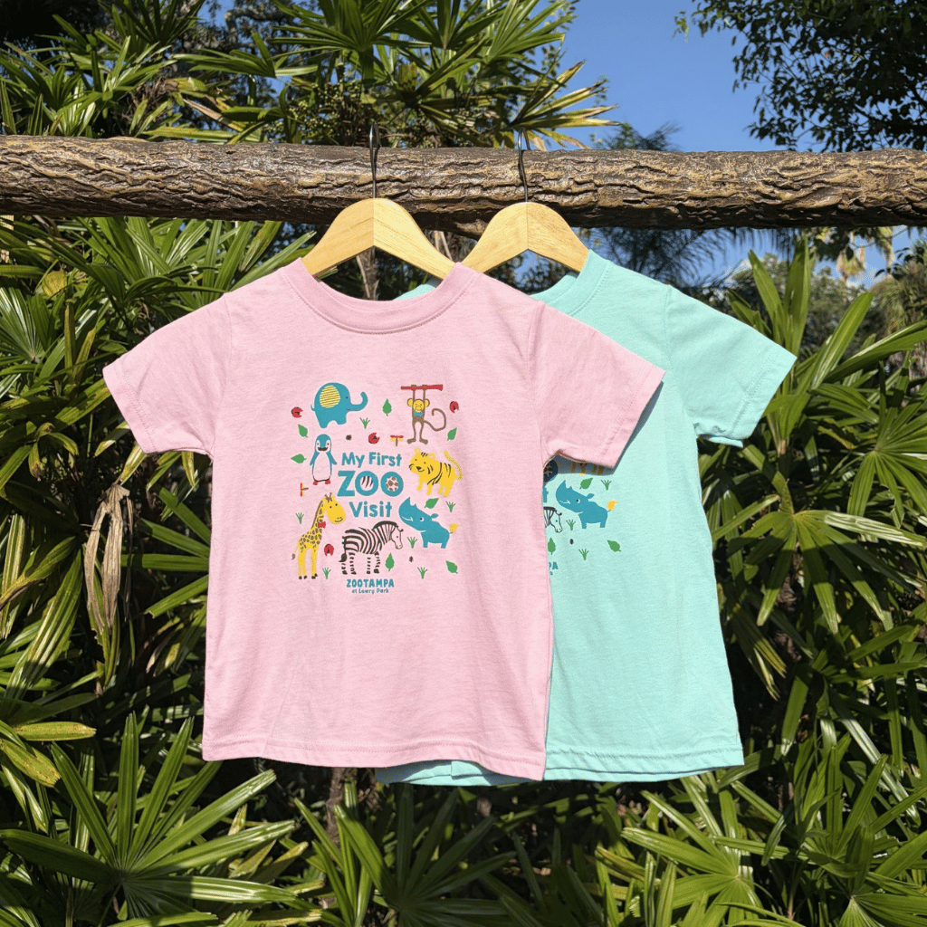 1st Visit Toddler T-Shirt Pink & Blue