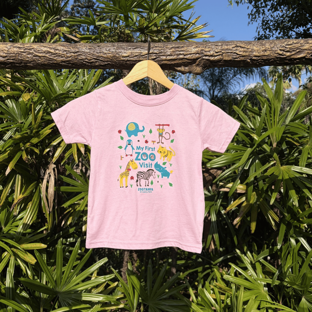 1st Visit Toddler T-Shirt Pink & Blue