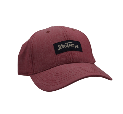 Mens' ZooTampa Hat -Red