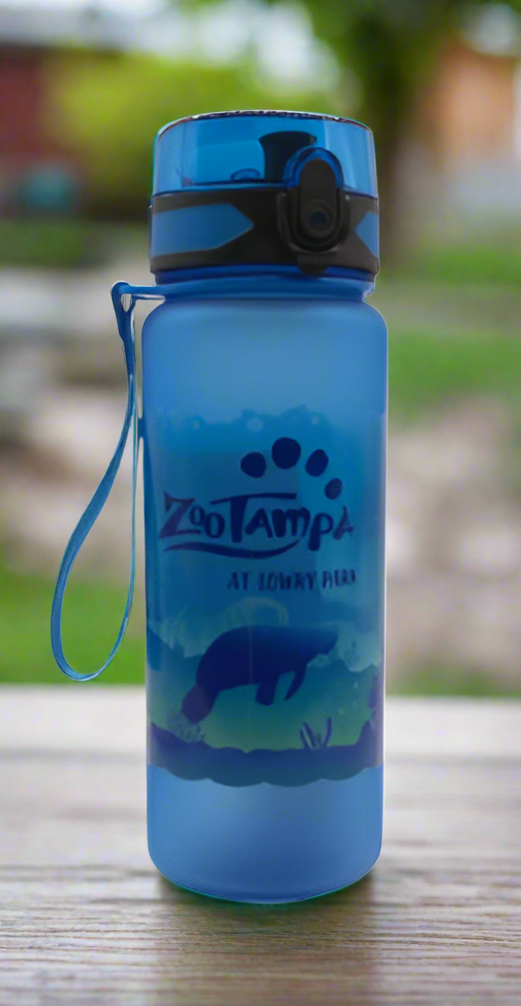 Aquatic Landscape Bottle