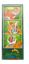 Tiger Film Strip Magnet