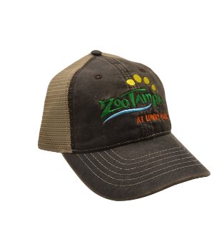 ZooTampa Mesh Back Hat