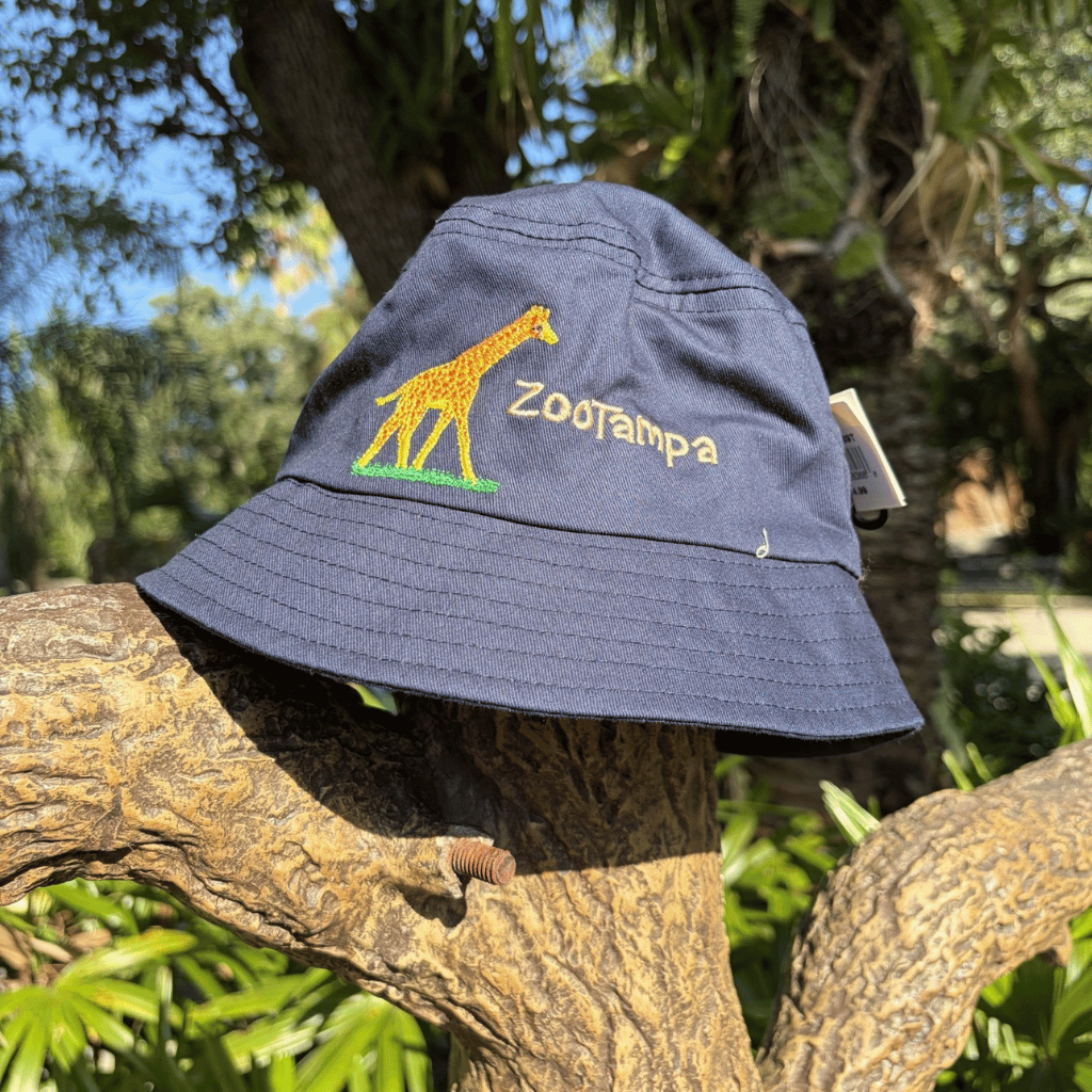 A navy blue bucket hat with an embroidered yellow giraffe and the word 'ZooTampa' on the front, resting on a tree branch outdoors with green foliage and trees in the background.