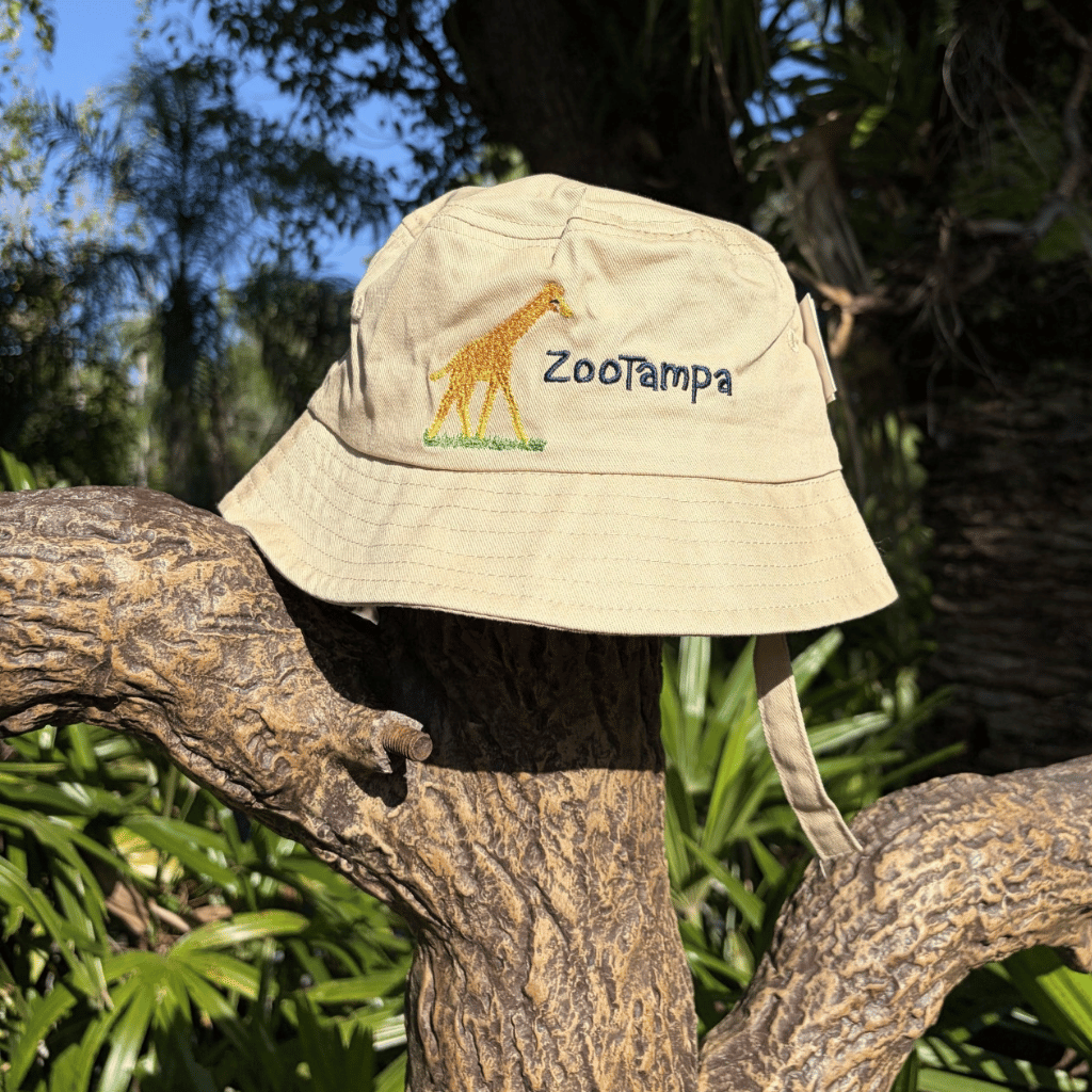 A beige bucket hat with an embroidered giraffe and the text 'ZooTampa' resting on a tree branch outdoors, with green foliage and blue sky in the background.