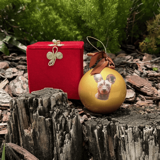 A gold Christmas ornament featuring a printed portrait of a dog, displayed next to a red velvet gift box on a weathered tree stump outdoors.