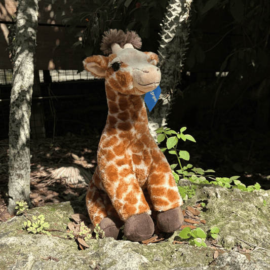 A plush giraffe toy sitting outdoors on a mossy rock, with tree trunks and green plants in the background. The toy has an orange and brown spotted pattern, a light beige face and neck, dark brown hooves, and a small blue tag attached near its neck.