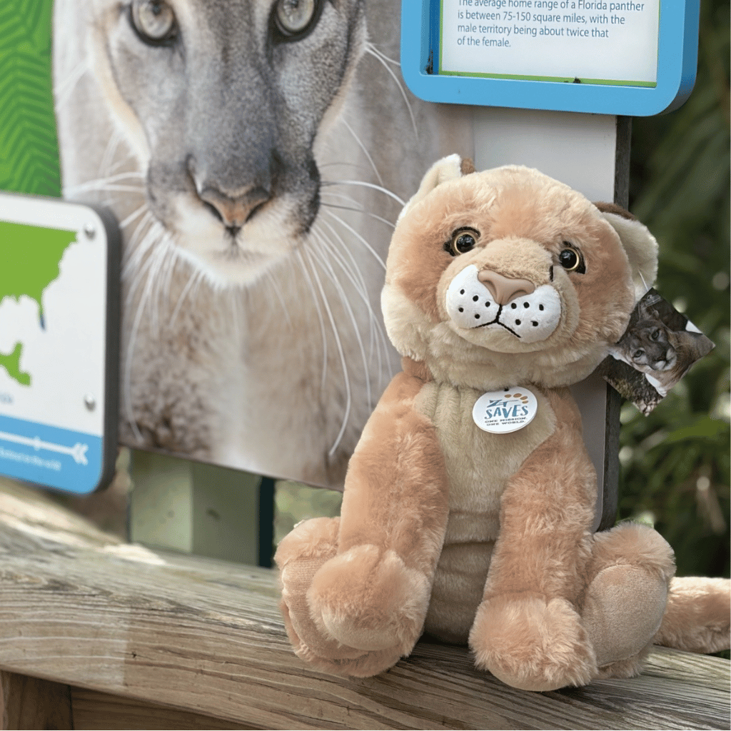A plush toy of a Florida panther sitting on a wooden ledge in front of an outdoor zoo sign featuring a large Florida panther face.
