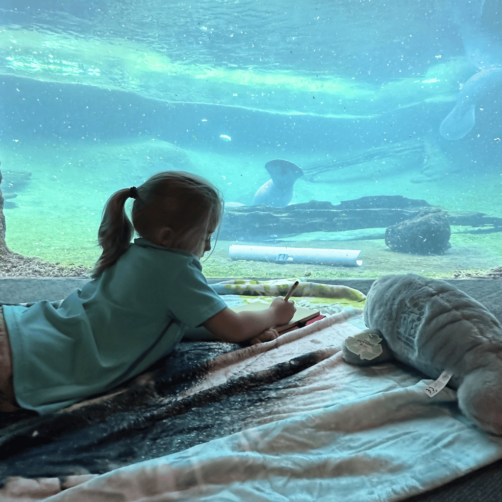 A young child lies on a blanket in front of a large aquarium window, drawing  on a notepad. A manatee is visible underwater in the blue-tinted tank, with a plush manatee toy resting on the blanket nearby.