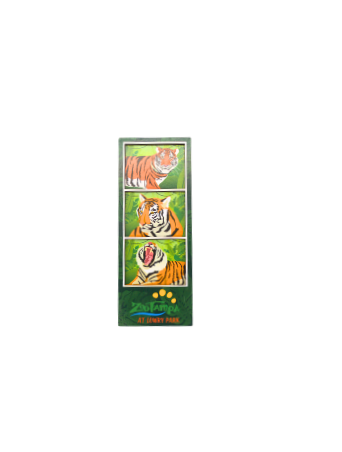 Tiger Film Strip Magnet