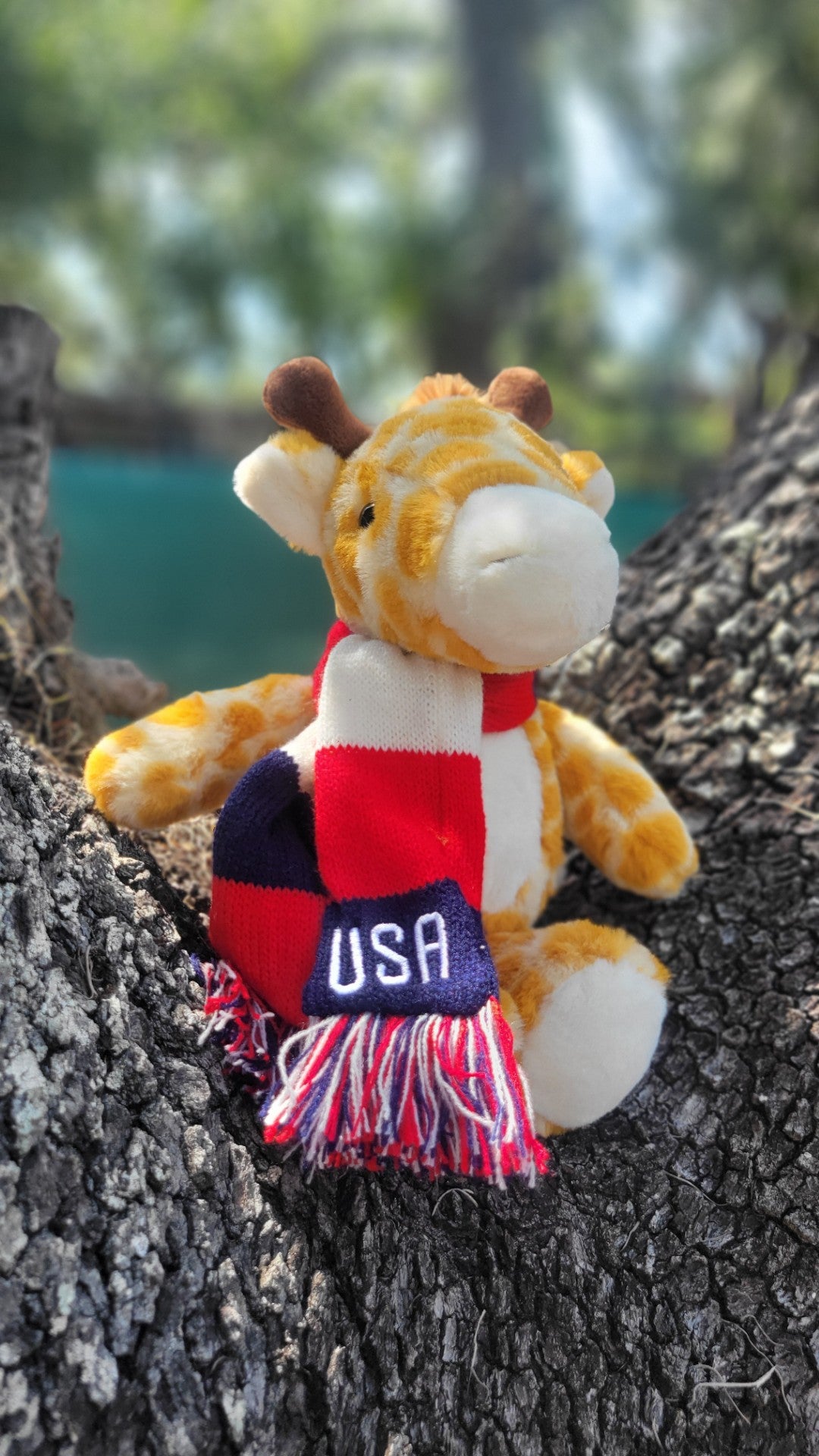 USA Soccer Team Plush