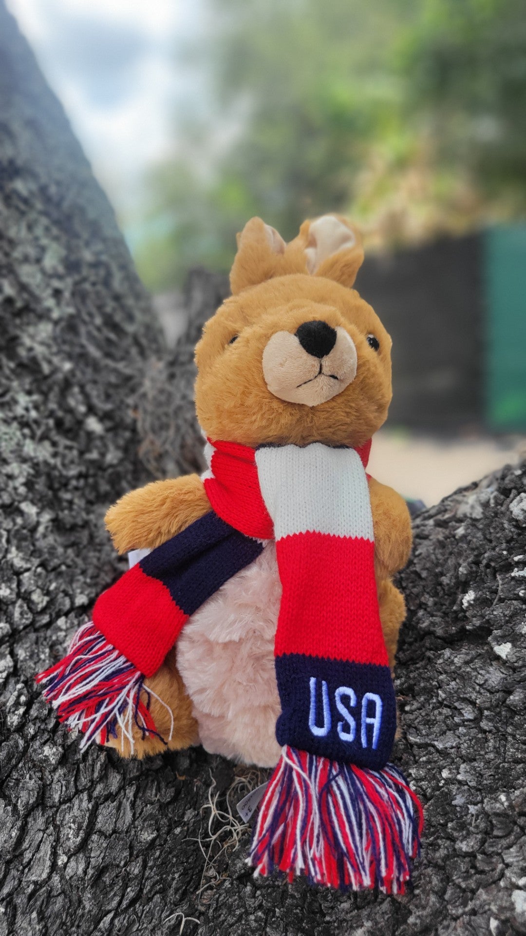 USA Soccer Team Plush