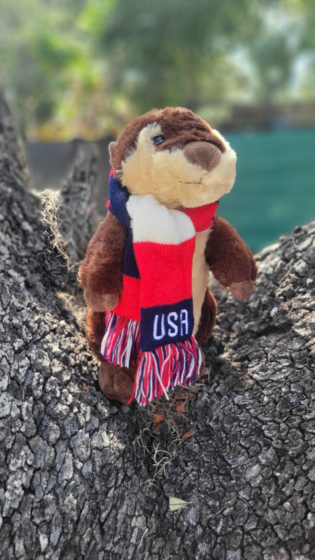 USA Soccer Team Plush