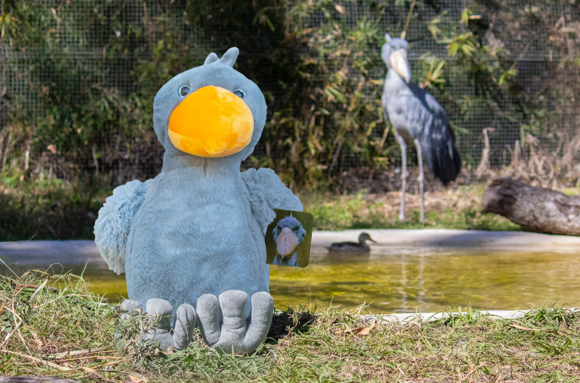 Shoebill Stork Plush