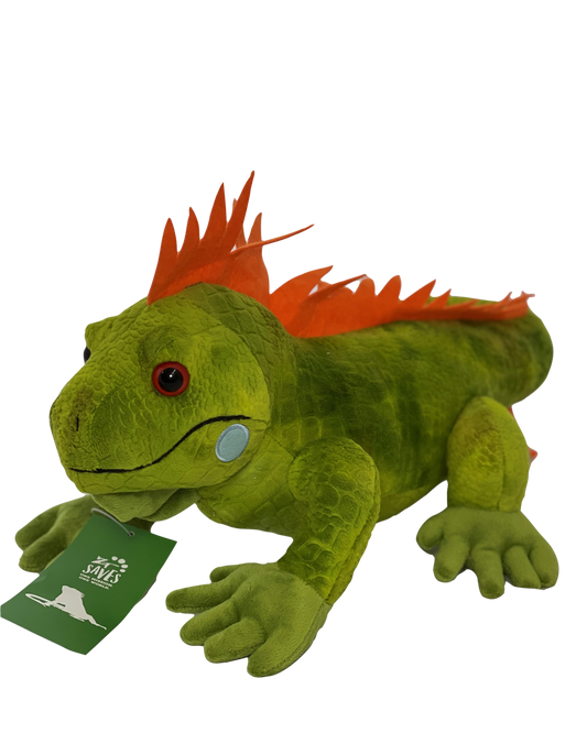 ZT Saves "Sandwich" Iguana Plush