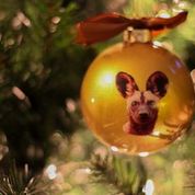 Painted Dog Custom Collectable Ornament