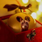 Painted Dog Custom Collectable Ornament